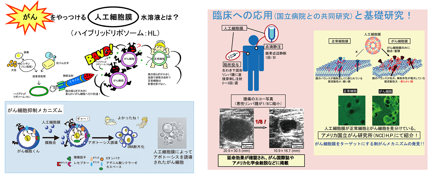 人工細胞膜(ハイブリッドリポソーム)を用いた副作用のない難治性疾患（がん、エイズ、リウマチ等）治療薬の開発と臨床応用