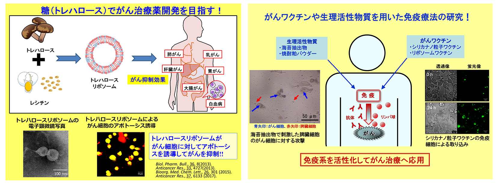 天然素材（大豆、焼酎粕、糖、味噌、海苔等）から難病治療薬・化粧品へ進化